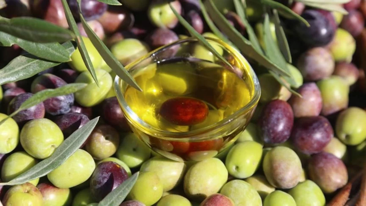 Zeytinin acı aromasını nasıl çıkarırsınız? Sadece 2 malzeme ile kesin çözüm