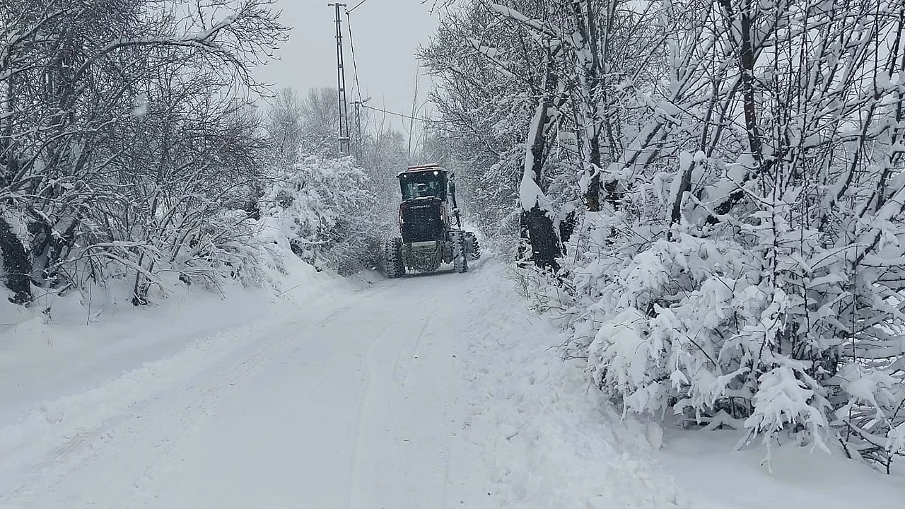 Elazığ'da kar ve tipi nedeniyle kapanan 220 köy yolundan 154'ü açıldı