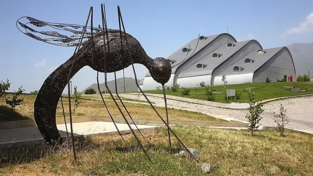 Forbes'tan "Gözden Kaçan Türk Müzeleri" listesi: Baksı'dan Zeugma'ya 10 müze!