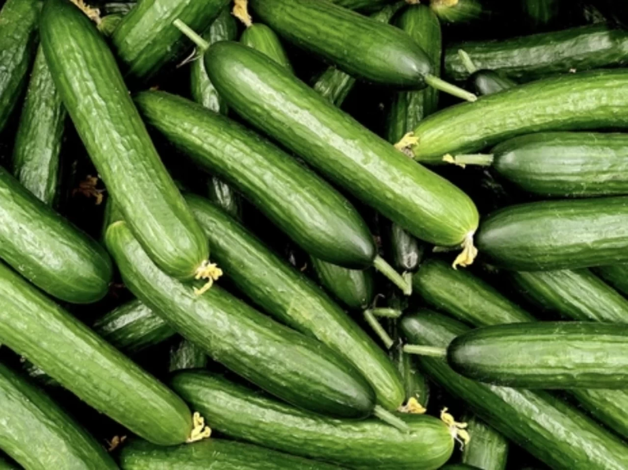 Salatalık yerken sakın bunu yapmayın