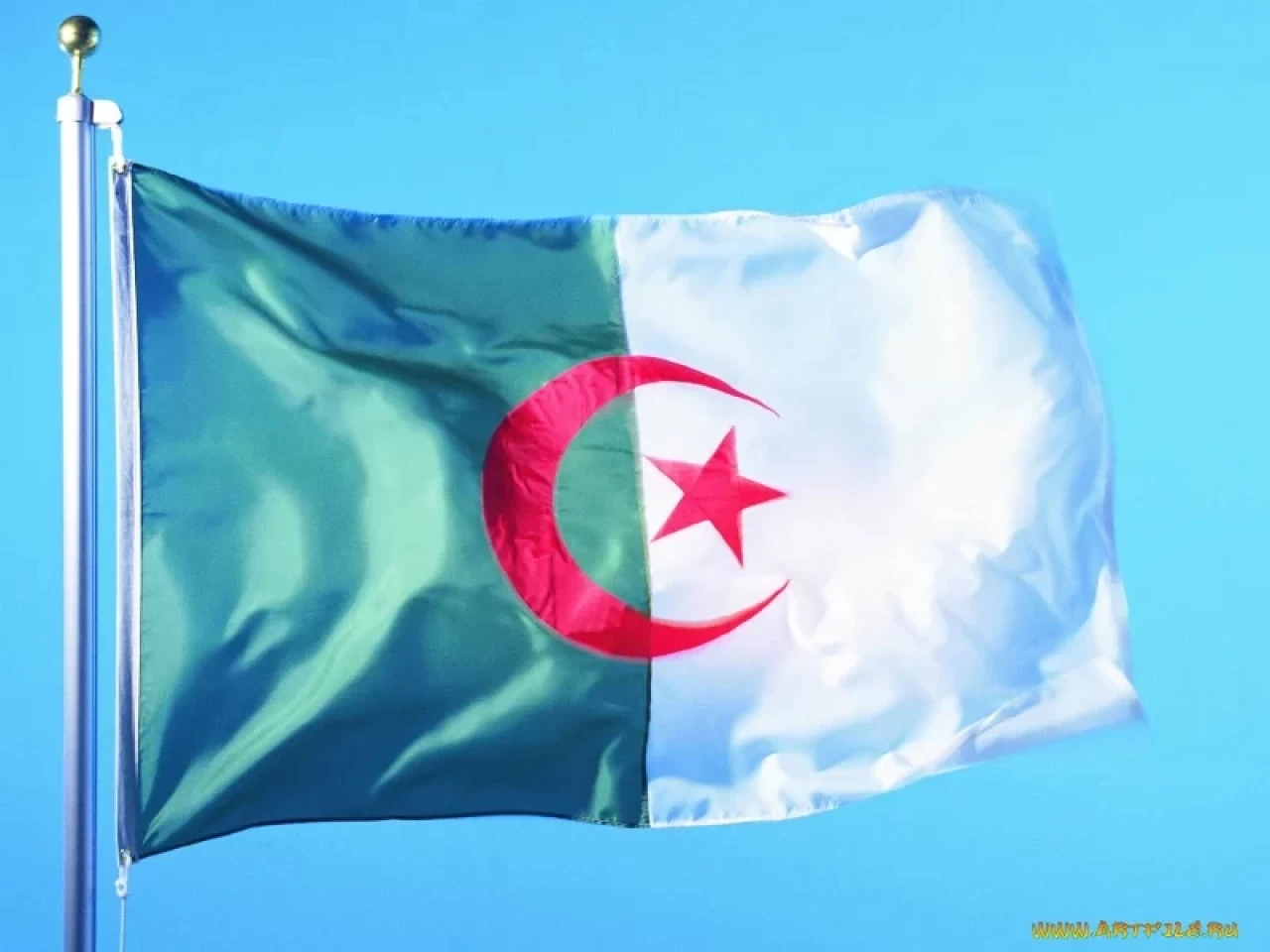 Cezayir, Fransız Senato Başkanı'nın Fas ziyareti sonrası Fransa Senatosu'yla ilişkileri askıya aldı