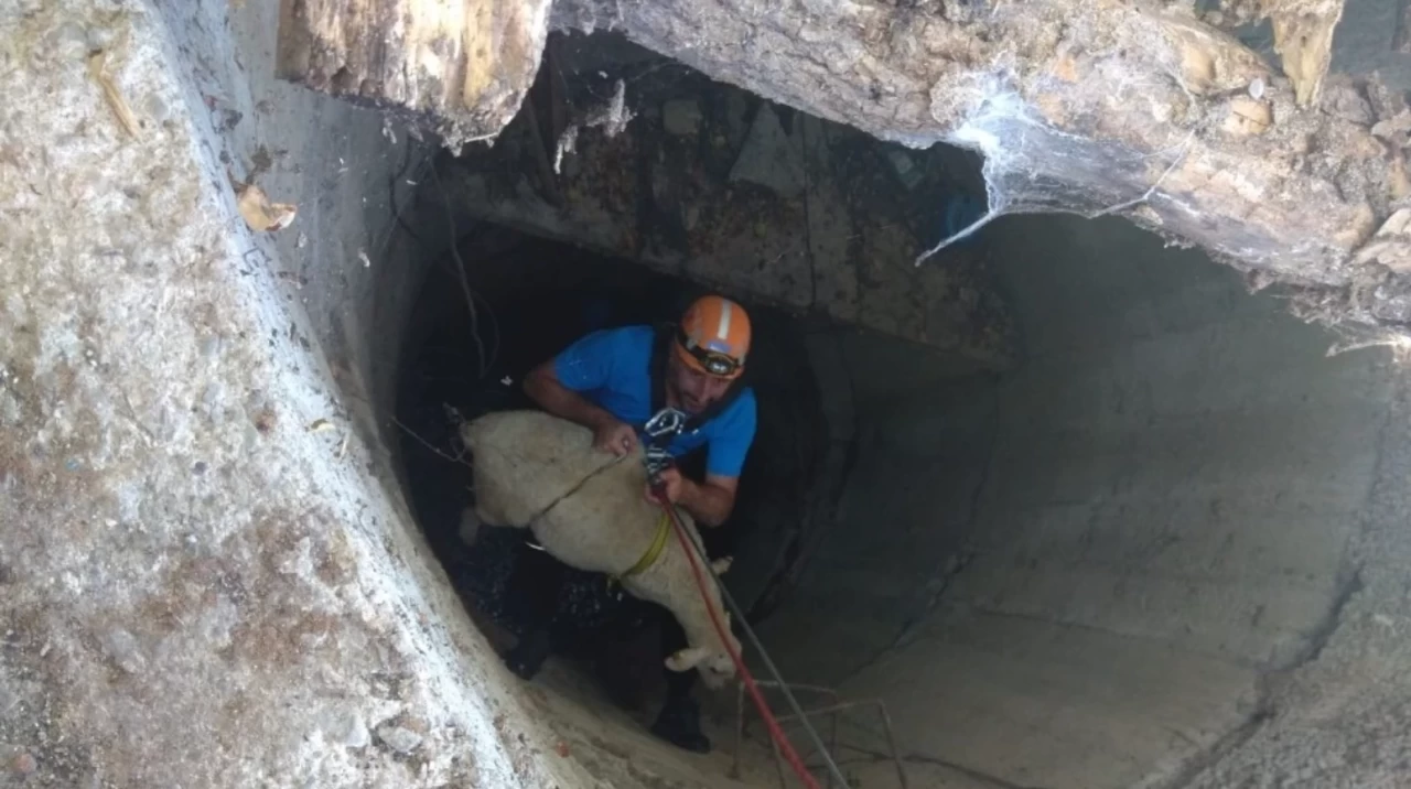 Balıkesir Edremit'te bir koyun su kuyusuna düştü, itfaiye tarafından kurtarıldı