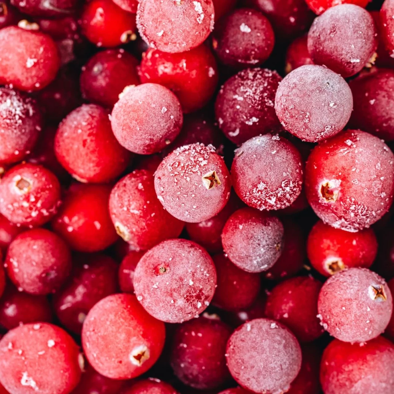 Demir eksikliğini bitiren kızılcık meyvesinin faydaları