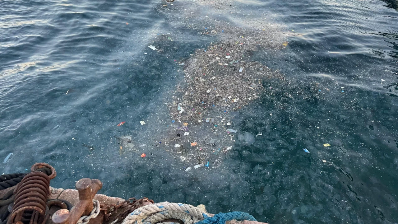 Beşiktaş'ta deniz kirliliği! Vatandaşlar tepki gösterdi