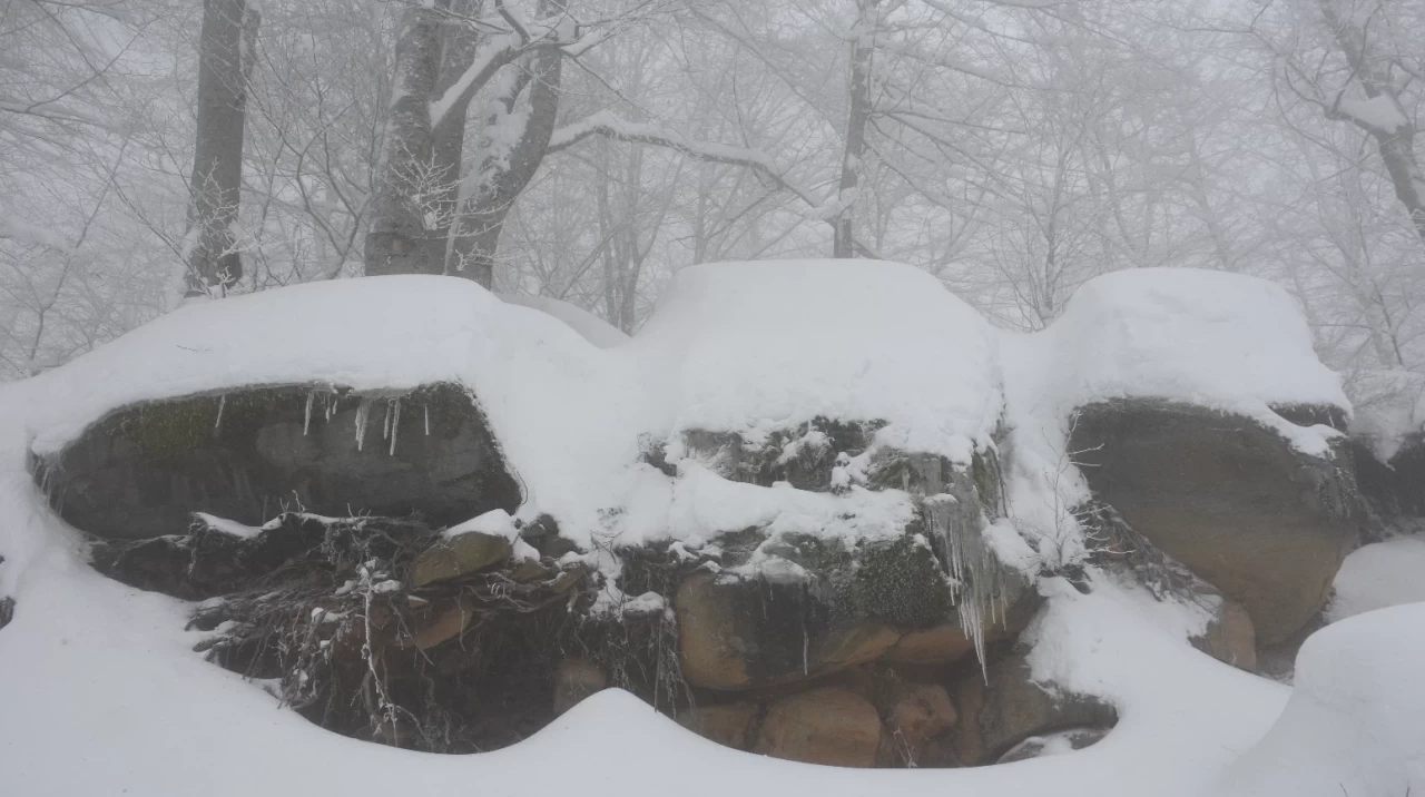 Samsun'un yüksek kesimlerinde bulunan 1224 rakımlı Nebiyan Dağı beyaz örtüyle kaplandı!