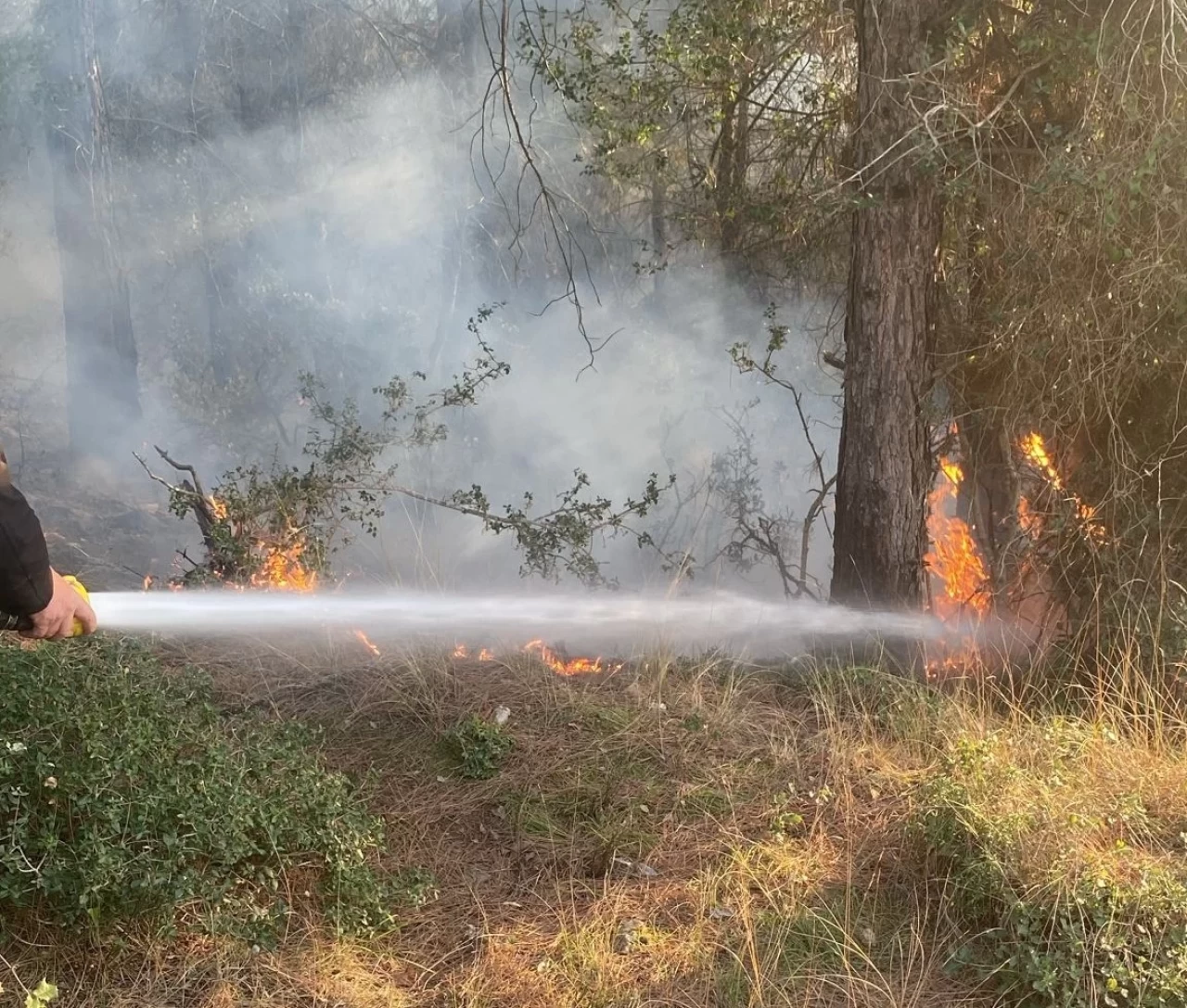 Osmaniye’de orman yangını