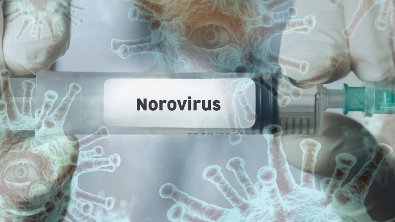 Yeni salgın alarmı: Norovirüs ABD’den sonra İngiltere’de