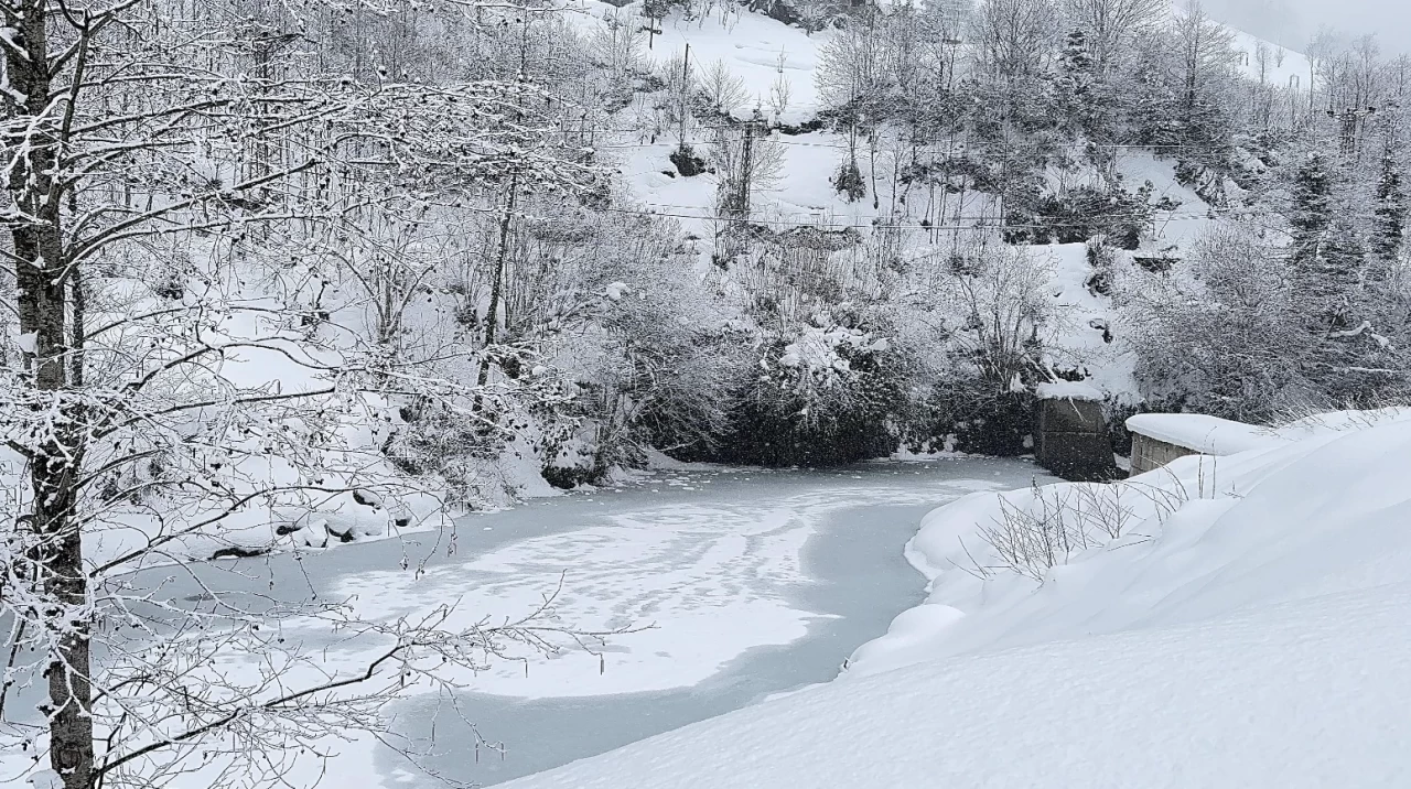 Rize'nin Güneysu ilçesindeki  doğal güzellikler buzla kaplandı