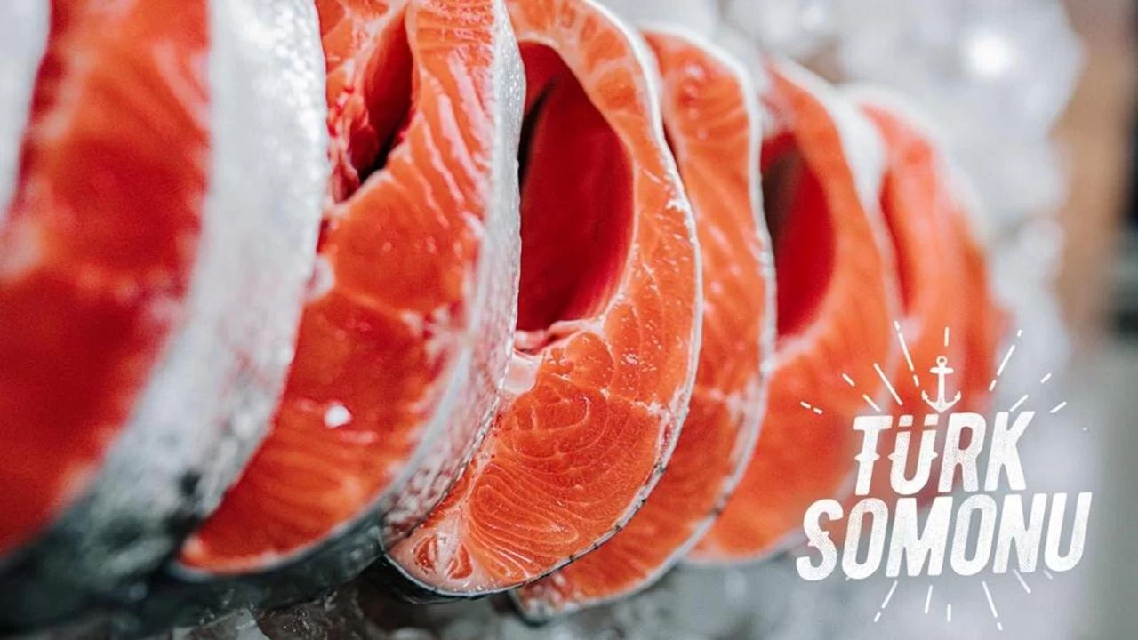 Somon ihracatından 4 milyon dolara yakın gelir