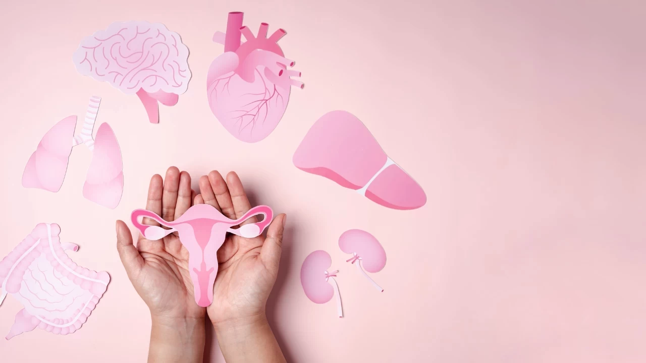 Kadınlarda Östrojen Hormonu Azlığı Nedir, Neden Olur?