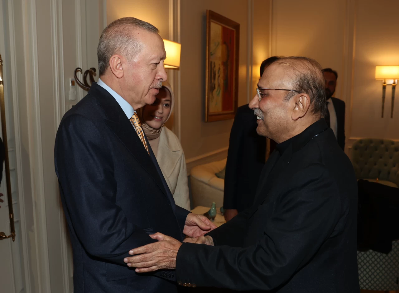 Cumhurbaşkanı Erdoğan, Pakistan Cumhurbaşkanı Zardari ile görüştü