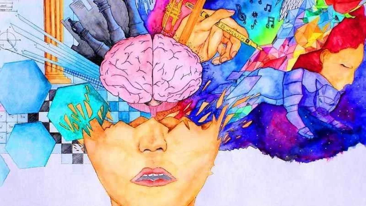 Renklerin Temsil Ettiği Duygular: Hangi Renk Ne Anlama Gelir?