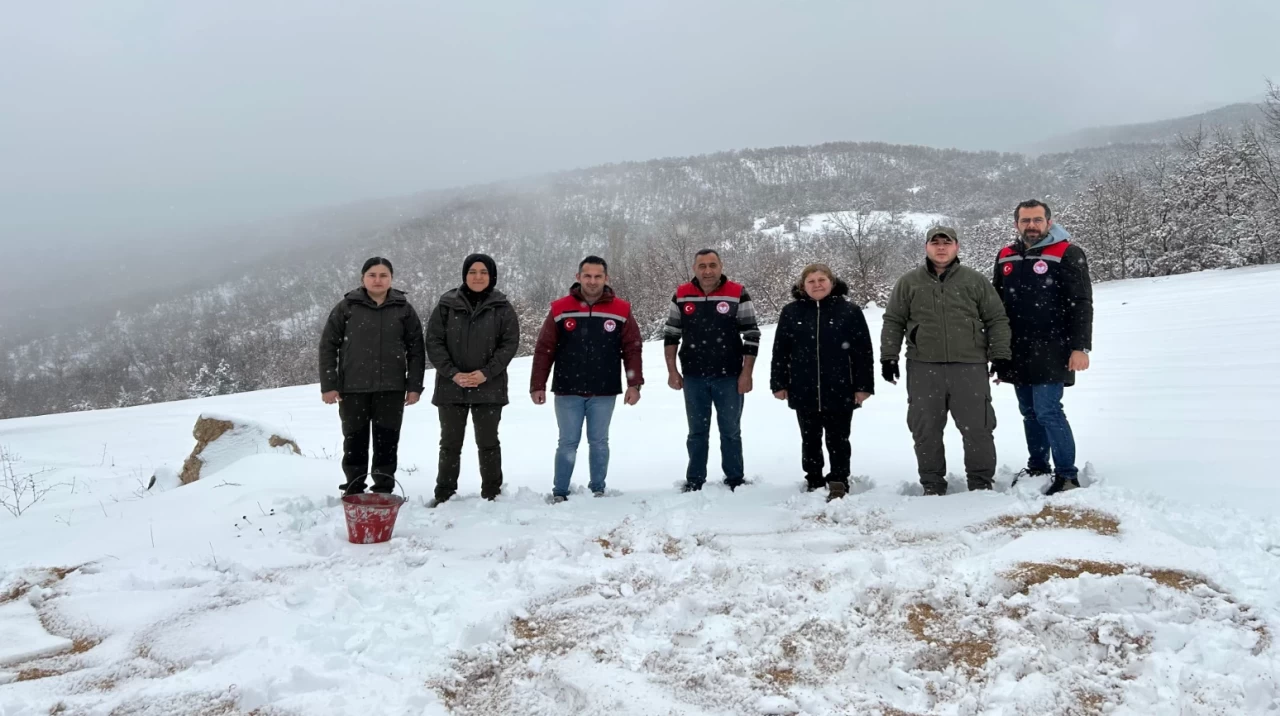 Amasya'da yaban hayvanları için besleme kampanyası başlatıldı