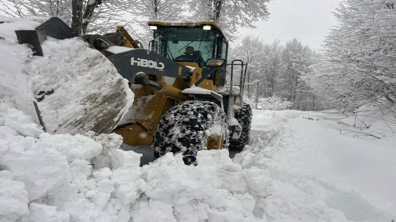 Karadeniz'de karla mücadele çalışmaları