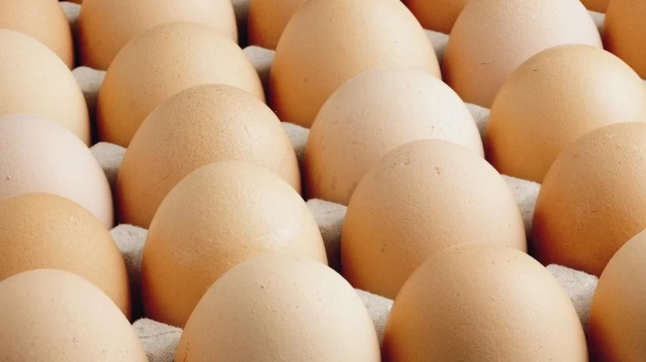 Ticaret Bakanlığı'ndan flaş karar: Yumurta ihracatında kesinti uygulanacak