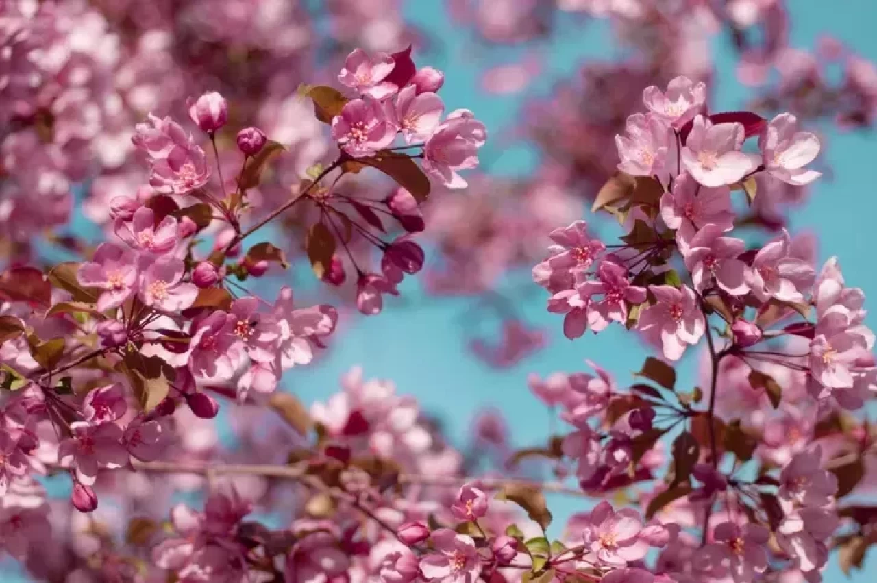 Cemre düşme tarihleri ve günleri 2025