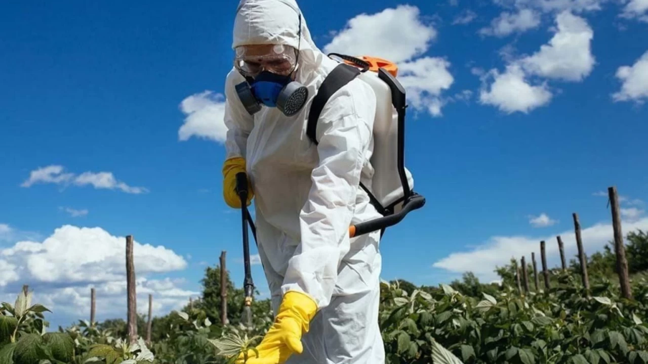 Pestisit vücuttan nasıl atılır?