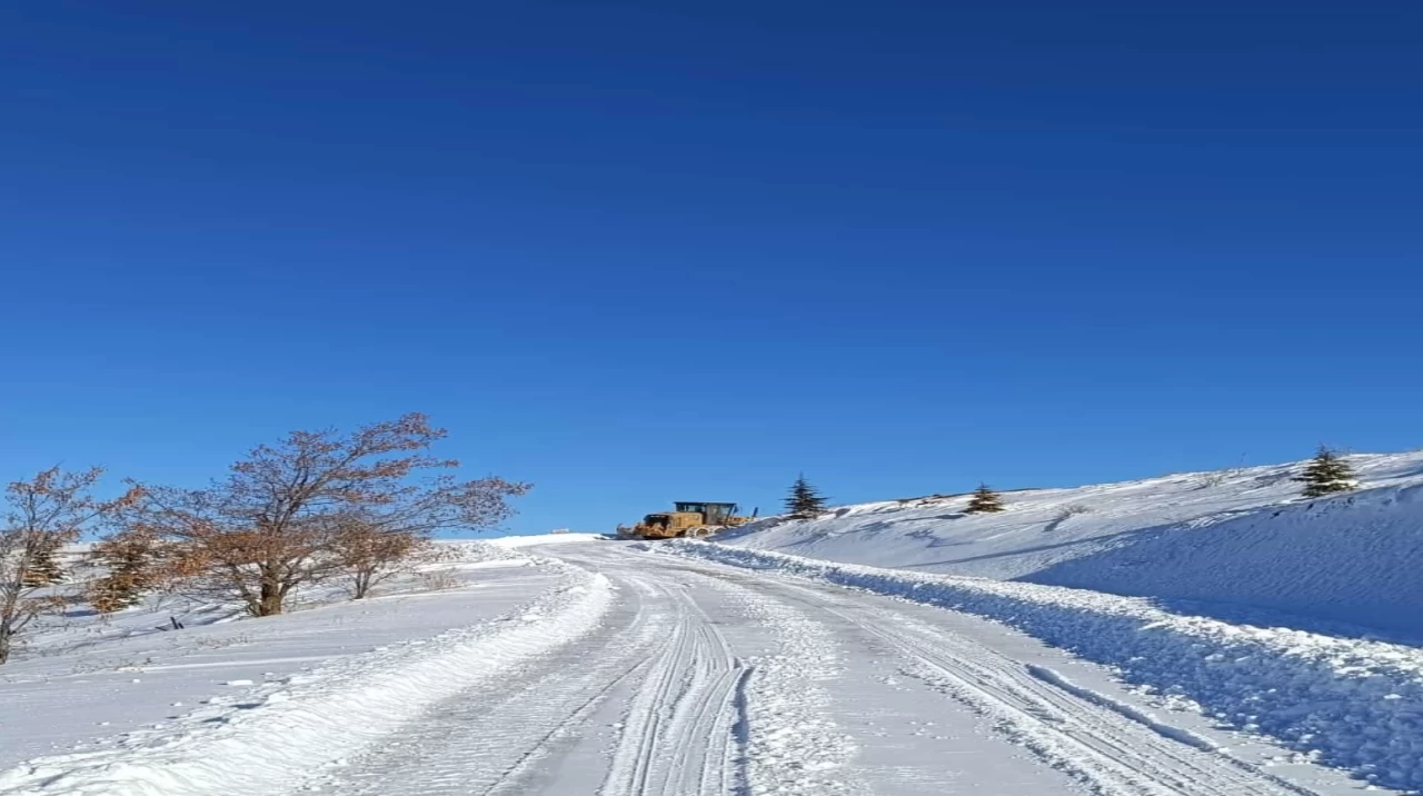 Kar yağışının etkili olduğu Elazığ, Siirt ve Bingöl illerinde 186 yerleşim yerine ulaşım engellendi