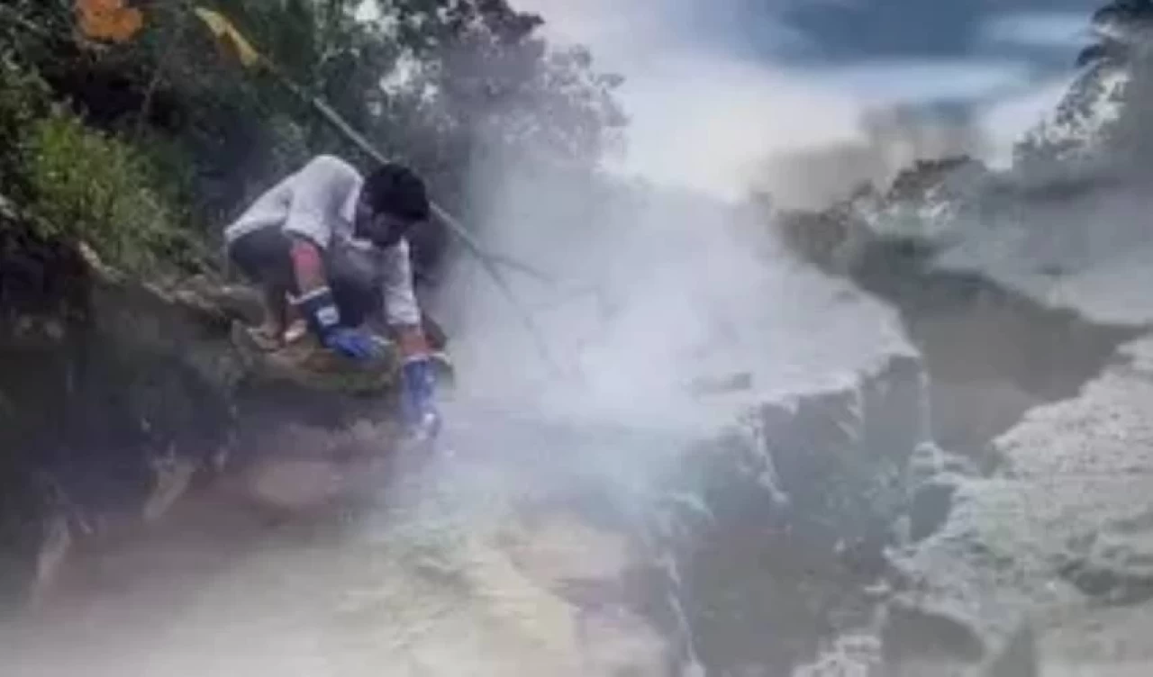 Ormanda kamp yaparken yanlarına gelen tilkiyi ekmekle beslediler