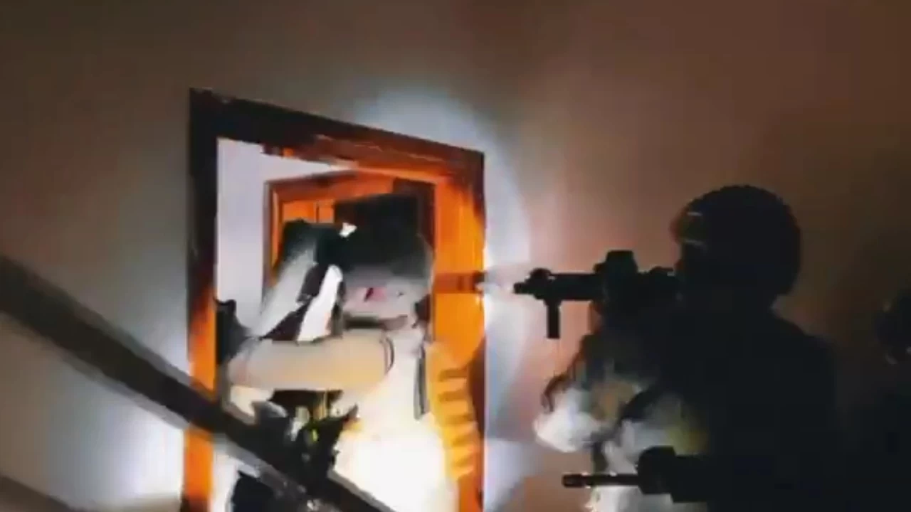 "Kaplanlar" suç örgütüne operasyon: 15 tutuklama