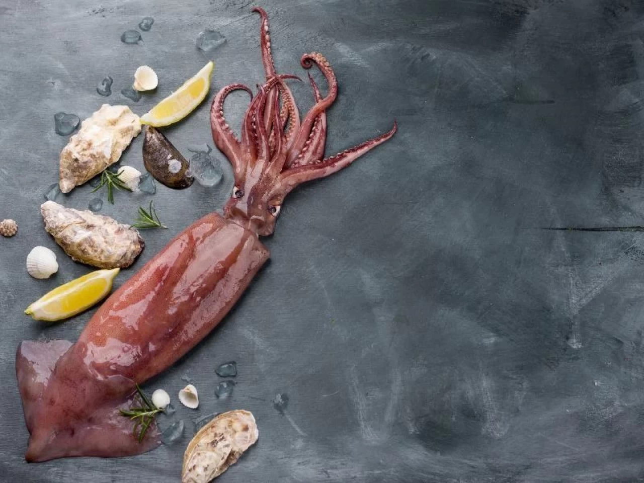 Mürekkep Balığı Yenir Mi, Sağlığa Zararları Var Mı? Dinî Açıdan Helal Mi?