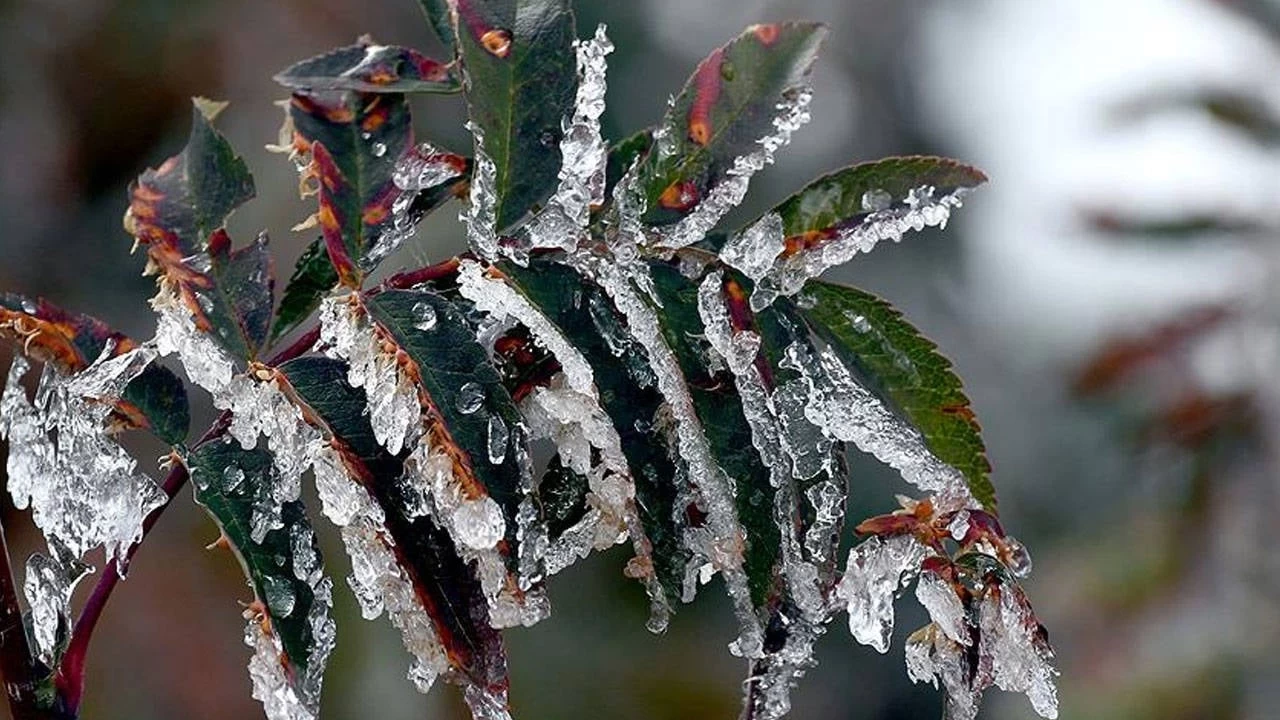 İzmir Valiliği'nden önemli uyarı: Soğuk hava dalgasına hazır olun