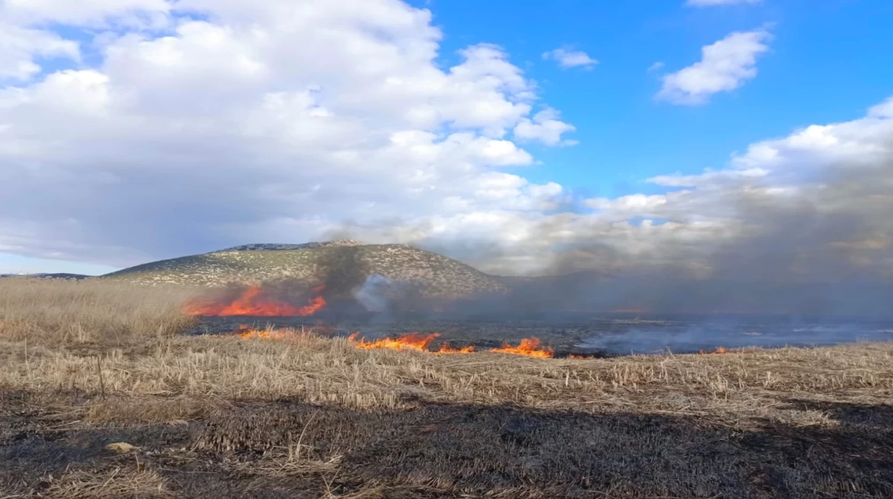 Burdur'un Gölhisar ilçesinde çıkan sazlık yangınına ekipler hızla müdahale ediyor