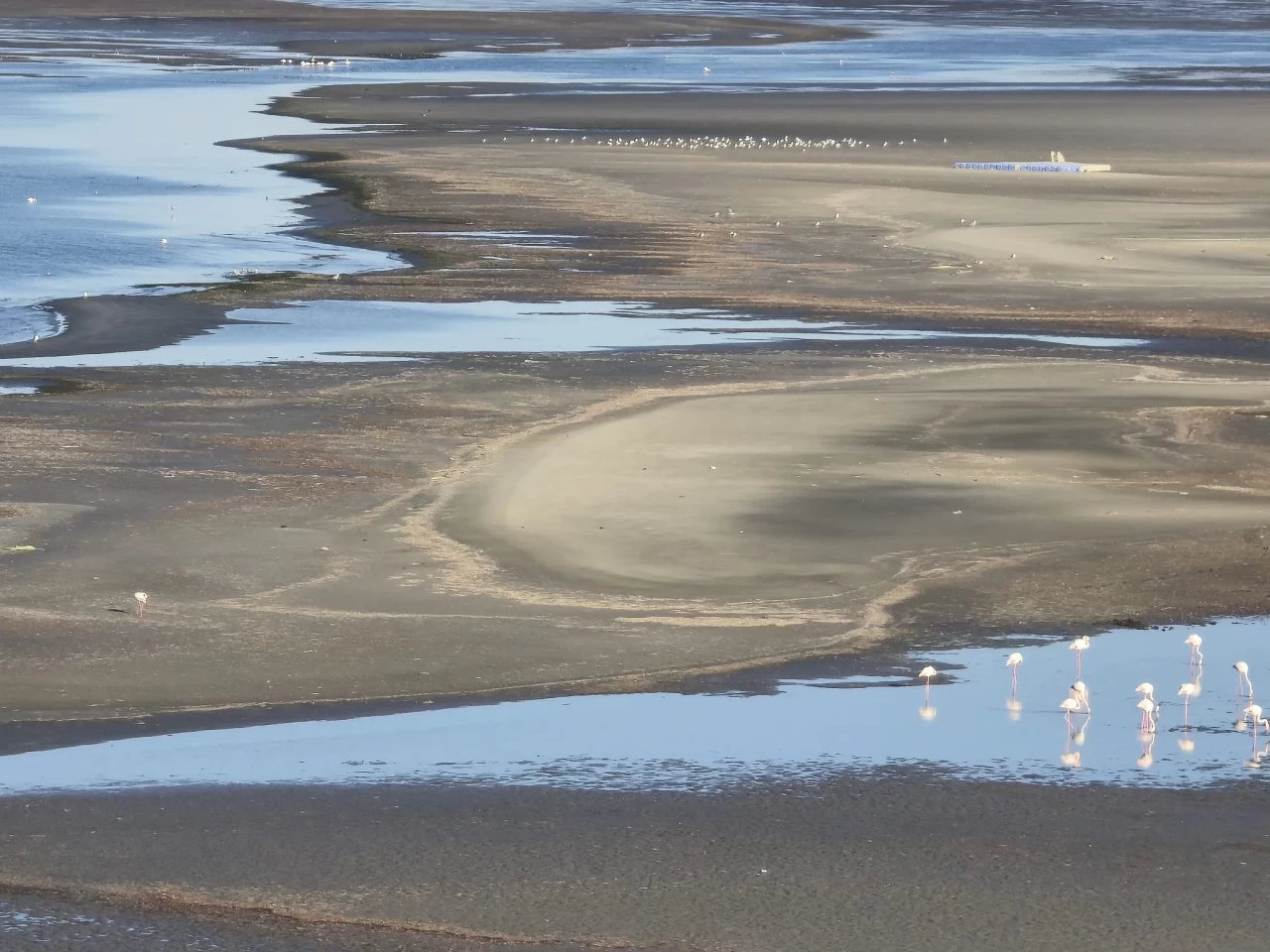 Didim ve Çeşme'de alarm: Deniz suyu kıyıdan çekiliyor