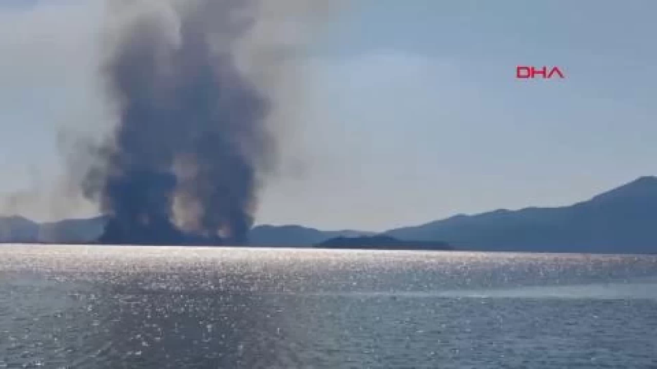 Muğla'nın Köyceğiz ilçesinde çıkan yangın kontrol altına alınmaya çalışılıyor