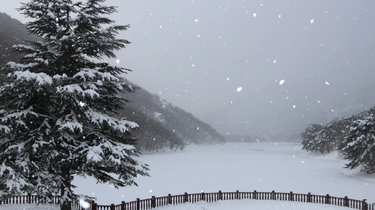 Boraboy Gölü Tabiat Parkı, kar yağışı sonrası masalsı bir manzaraya büründü