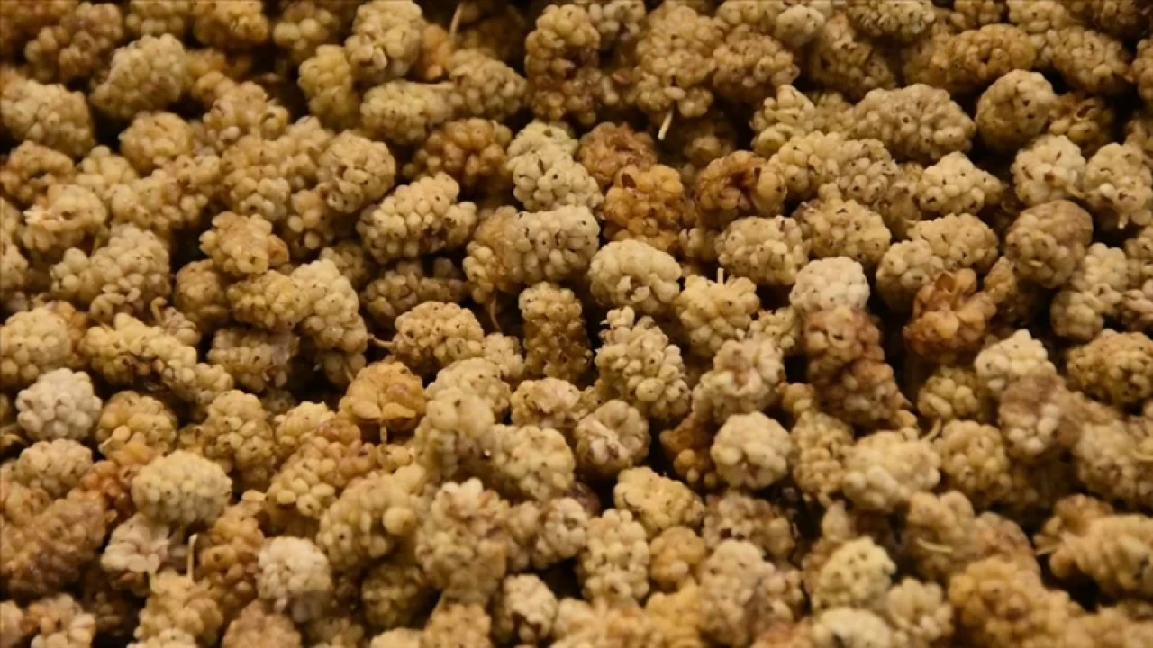 Uyumadan önce 1 avuç kuru dut yerseniz ne olur? İşte şaşırtan faydaları!