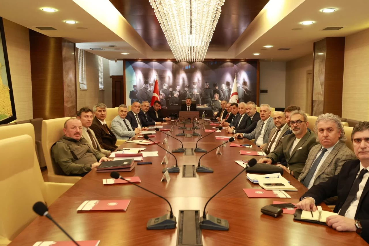 Sokak hayvanları için yeni karar