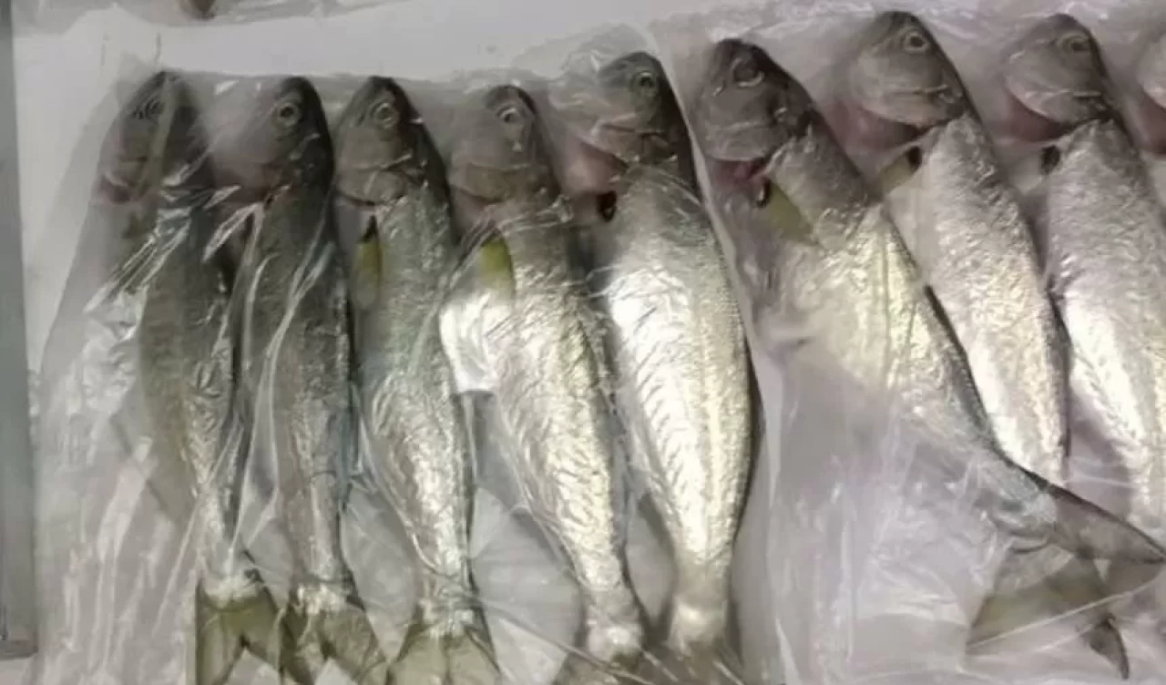 Balık buzlukta nasıl saklanır? Taze kalması için ipuçları