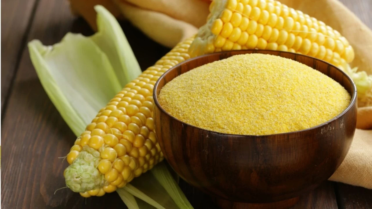 Mısır ekmeği faydalı mıdır?