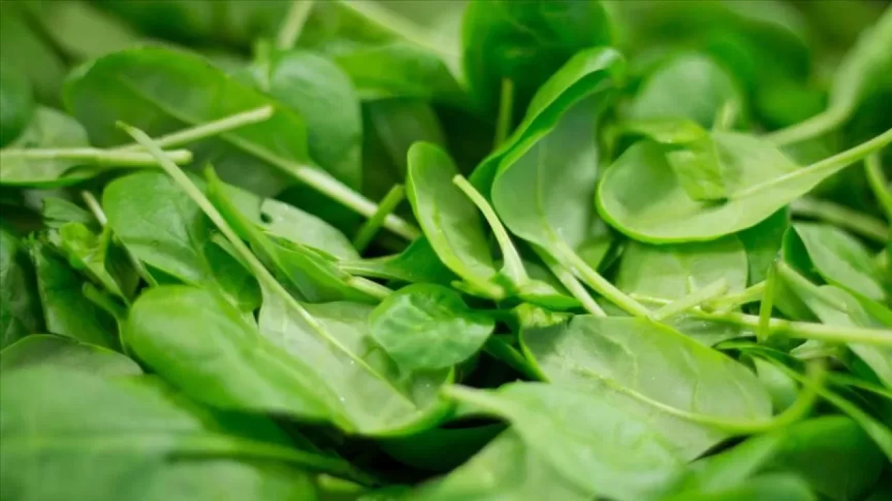 Zayıflamanın sırrı: Diyetisyen onaylı ıspanak çorbası detoksu