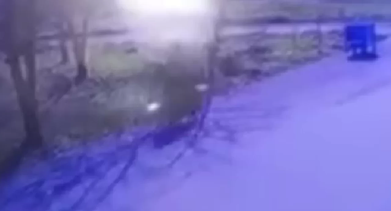 Hamile kadının hayatını kaybettiği kazanın görüntüleri ortaya çıktı