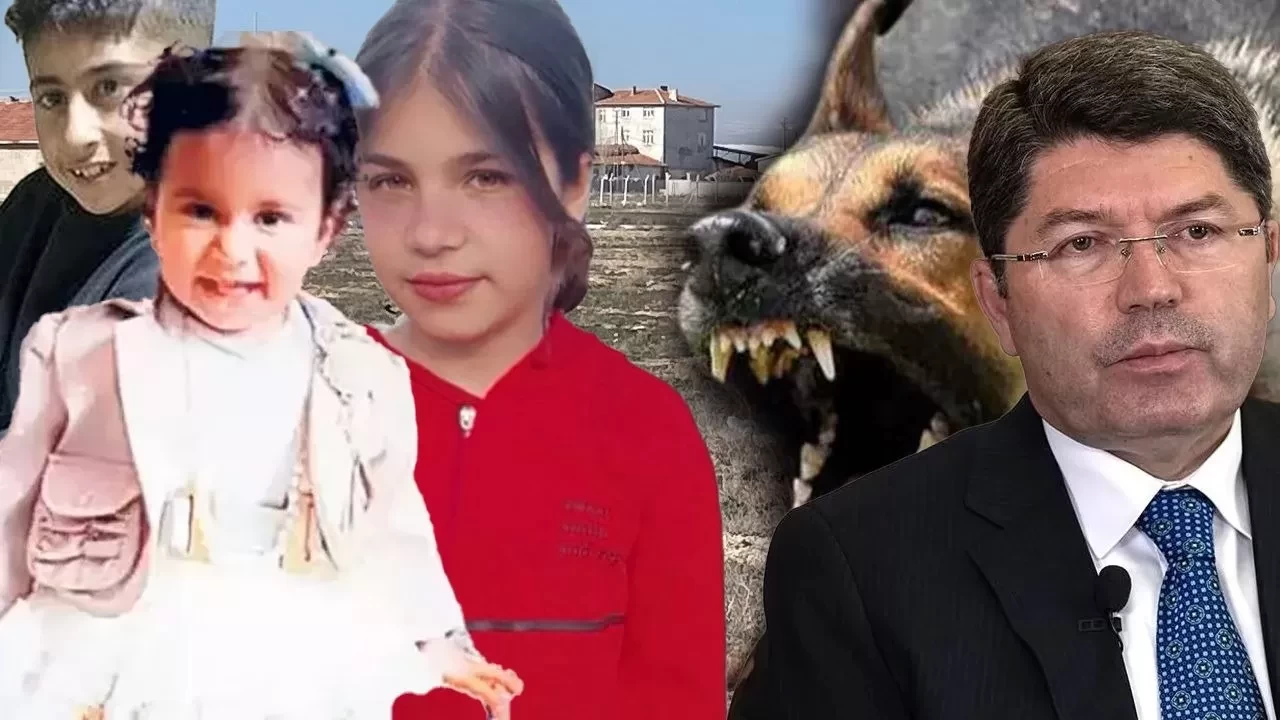 Bakan Tunç belediyeleri uyardı: Başıboş köpek saldırılarına soruşturma