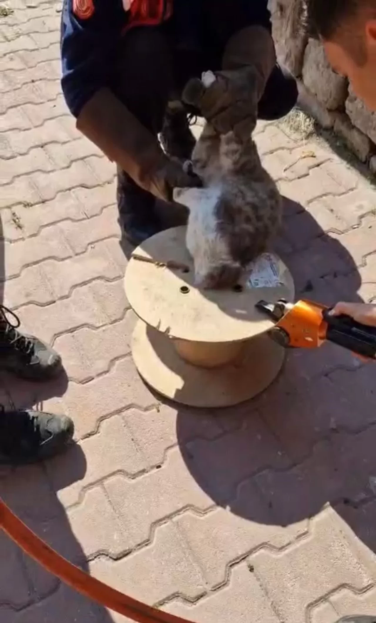 Kayseri'de ahşap makaraya sıkışan kedi, itfaiye ekiplerinin kahramanlığıyla kurtarıldı