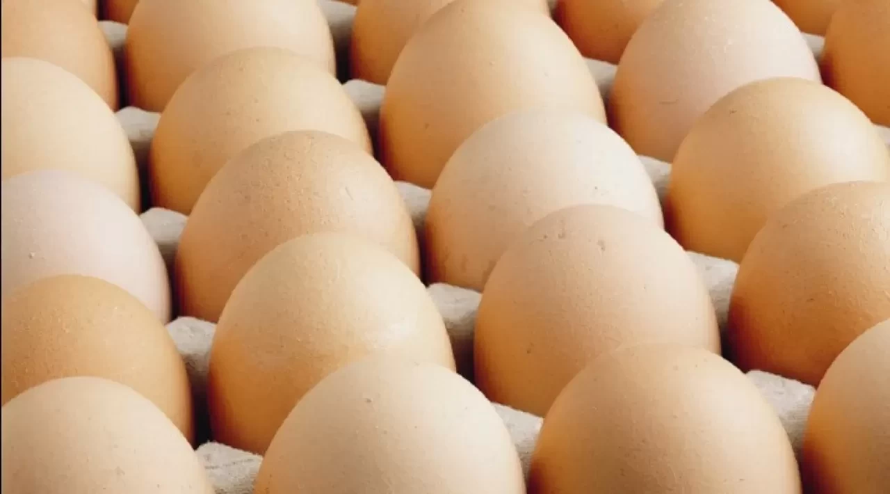 Sofralık yumurta ihracatında fon kesintisi üç katına çıktı