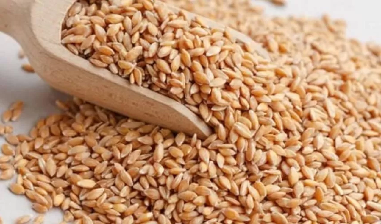 Siyez bulguru nedir? İşte siyez bulguru ve faydaları hakkında her şey