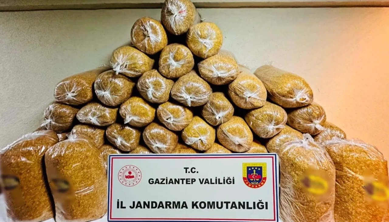 Kaçakçılığa darbe: Gaziantep’te 38 şüpheli yakalandı