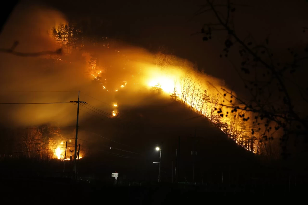 Güney Kore'deki orman yangınlarında ölü sayısı 28'e yükseldi