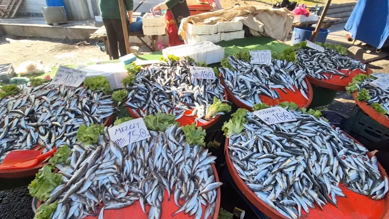 Balık fiyatları ateş fısıldıyor! Hamsi ve istavrit 100 lira!