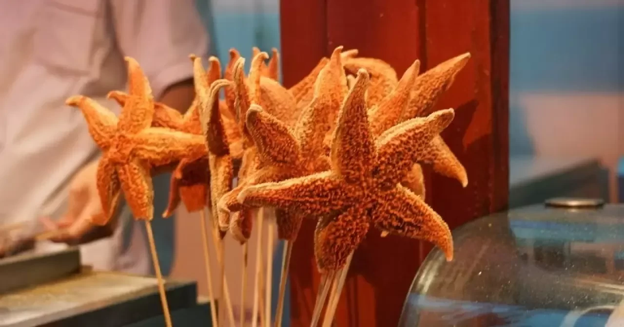 Deniz Yıldızı Yenir Mi? Sağlığa Zararı Var Mı? Dini Açıdan Tüketimi Günah mı?