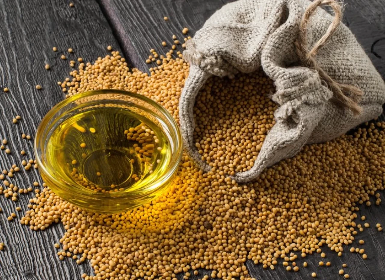 Hardal yağı faydaları ile şaşırtıyor