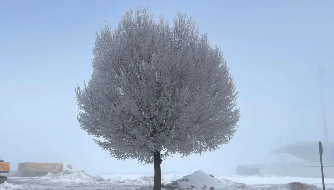 Ardahan Göle'de termometreler eksi 18,5 dereceyi gösteriyor