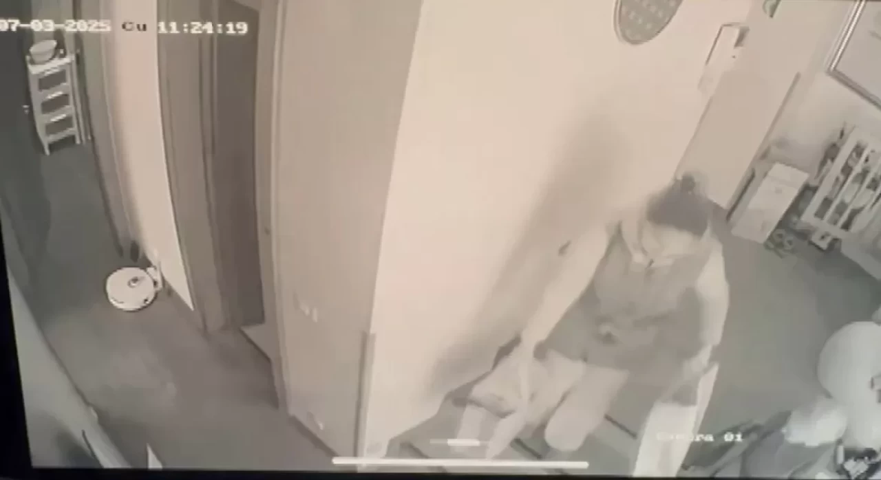 Sultan Vahdettin'in torununun evinden milyonluk hırsızlığı kimin yaptığı ortaya çıktı