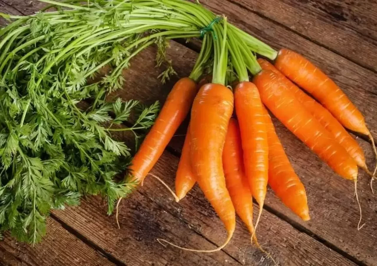 Havucun Faydaları ve Zararları: Sağlığa Etkileri Nelerdir?