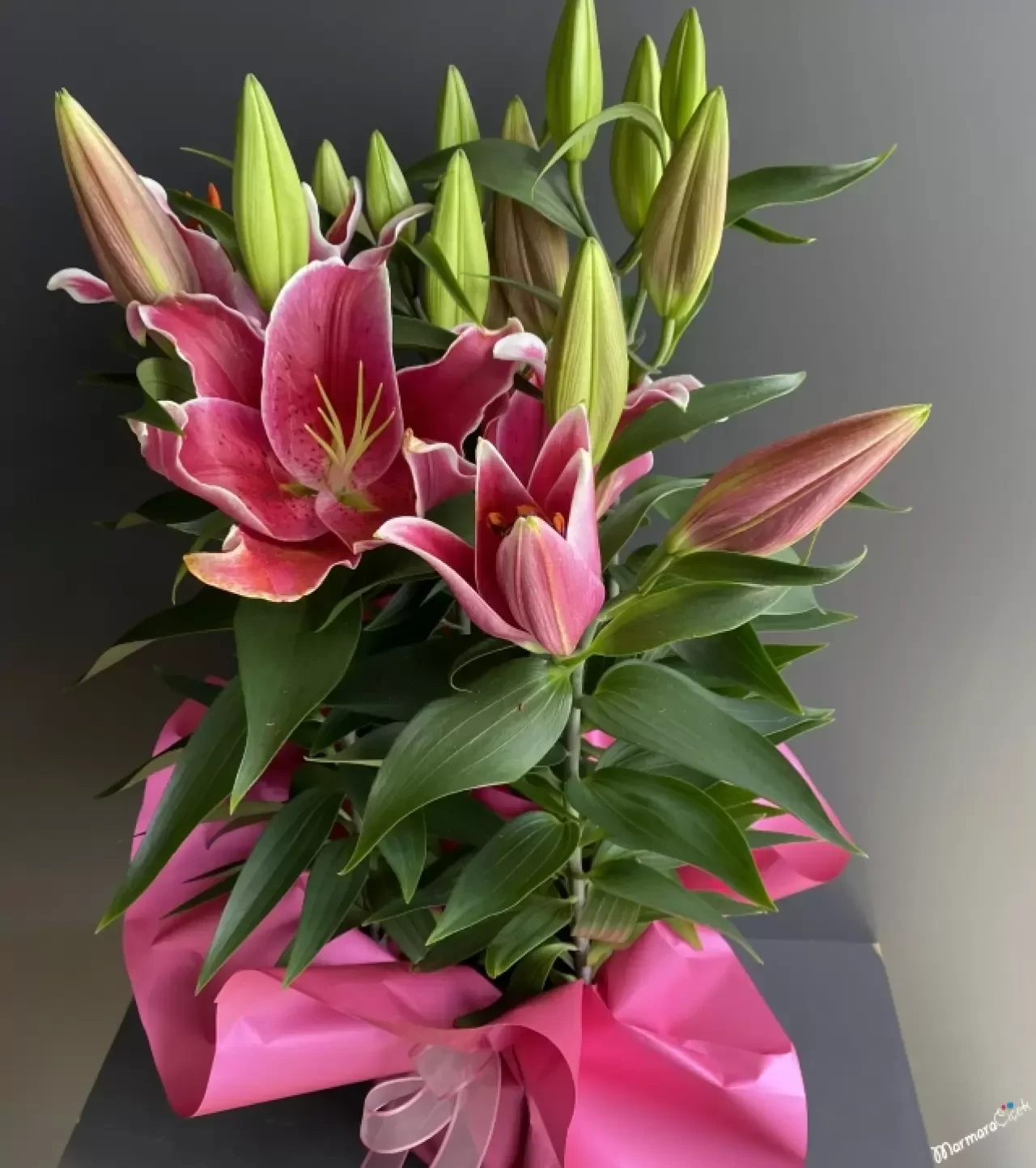 Pembe Lilyum: Zarafetin ve Masum Sevginin Çiçeği