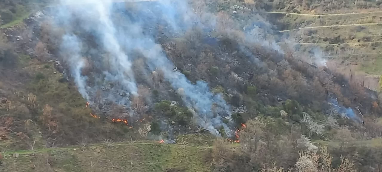 İzmir'de tarım arazisinde yangın paniği: Kontrol altına alındı